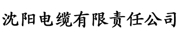 成人一区二区三区亚洲电缆厂logo